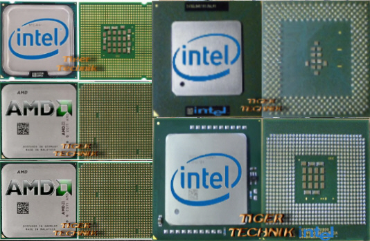 CPUs