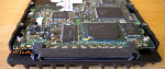 SCSI Festplatten- HDDs