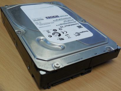 Seagate Constellation ES ST3500514NS HDD SATA II 500GB 3.5 Festplatte 32MB* F844