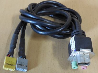 Fujitsu Celsius R670-2 Front Panel IEEE1394 FireWire Audio Mikrofon* pz1193