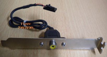 SPDIF Composite Cinch Out Ausgang Mainboard Slot Blech* pz129