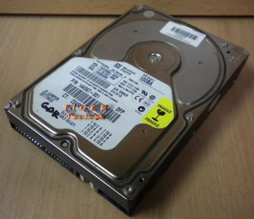 Western Digital Expert WD102BA -40AK Festplatte HDD IDE 10254.8MB 3,5 f277