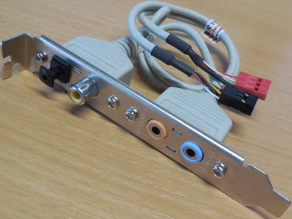Gigabyte SPDIF SUB Center REAR R L Audio Slotblende Optical Coaxial Modul* pz688