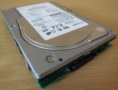 Seagate Cheetah ST373307FC 73,4GB SCSI Fiber SSA SAS HDD 3,5 Festplatte* f655