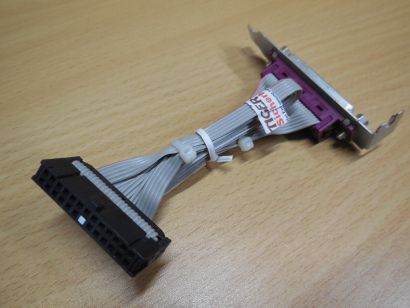 Slotblende Parallel Port SFF Foxconn 462537-002 Rev.B Adapter PC Computer* pz587