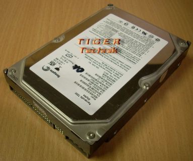 Seagate Barracuda 7200.8 ST3250823A Festplatte HDD IDE 250GB 3,5" f345